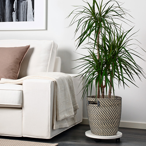 Sofá blanco con almohadas, manta y planta alta en cesta.