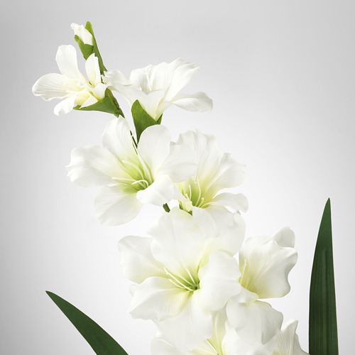 Flores realistas de gladiolos blancos con acentos verdes, que muestran pétalos detallados y follaje vívido, dispuestos de forma natural.