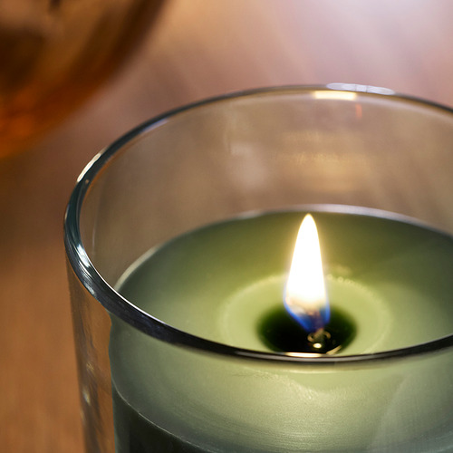 LOTSFÅGEL scented candle in glass with lid