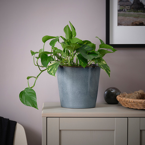 Escritorio gris con planta y decoración verde.