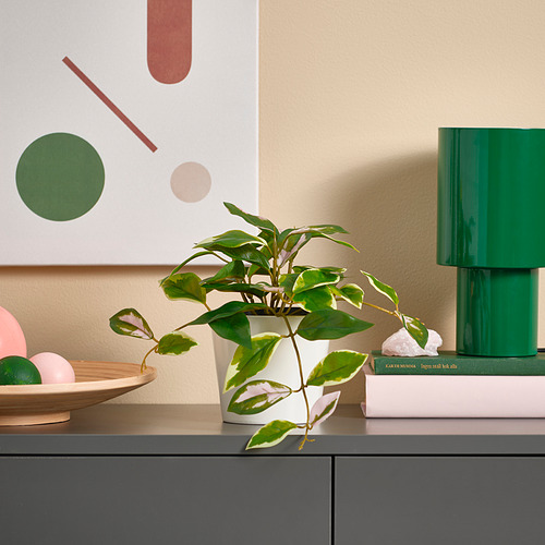 Plant, books, lamp on shelf.
