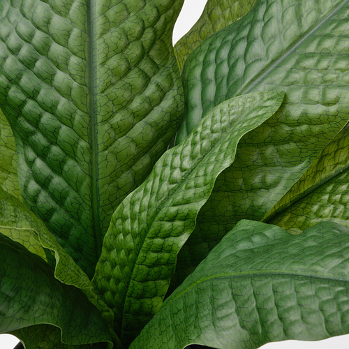 Primer plano de hojas verdes realistas y texturizadas, probablemente de una planta artificial, que muestran vetas detalladas y colores vibrantes.