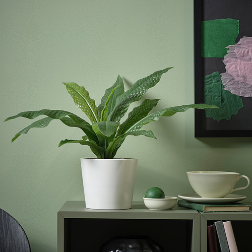 Pequeña planta FEJKA en maceta junto a una taza en un estante verde.