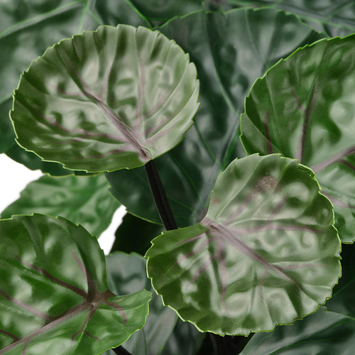 Primer plano de hojas de plantas artificiales realistas, de color verde vivo con patrones detallados y ondulados y texturas realistas.