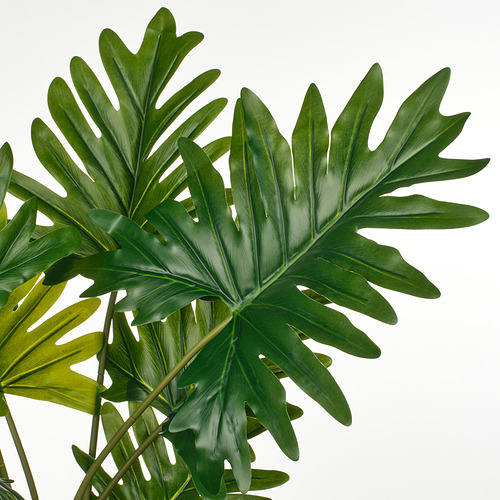 Hojas tropicales grandes y de color verde vibrante de la planta FEJKA, realistas y exuberantes.