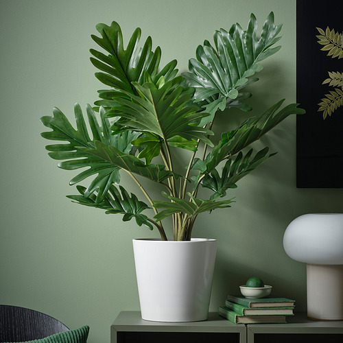 Gran planta blanca en maceta FEJKA con hojas verdes anchas se encuentra en un estante, rodeada de libros y un tazón. Fondo de pared verde.