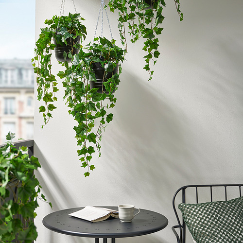 Plantas artificiales en macetas negras en la pared blanca del balcón con una pequeña mesa que sostiene una taza blanca, una servilleta y una silla verde.