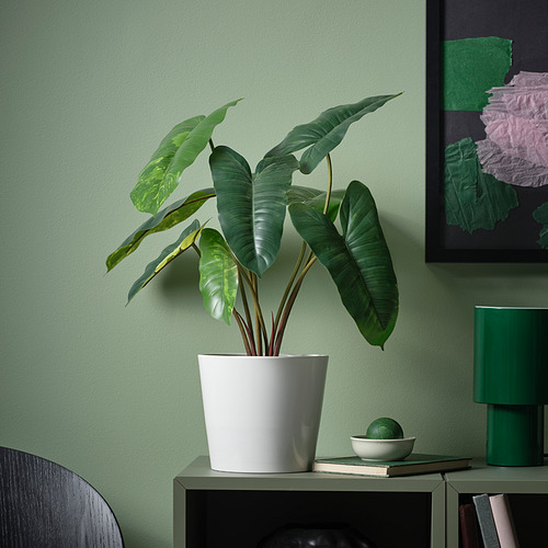 Planta en maceta FEJKA en estante con hojas anchas