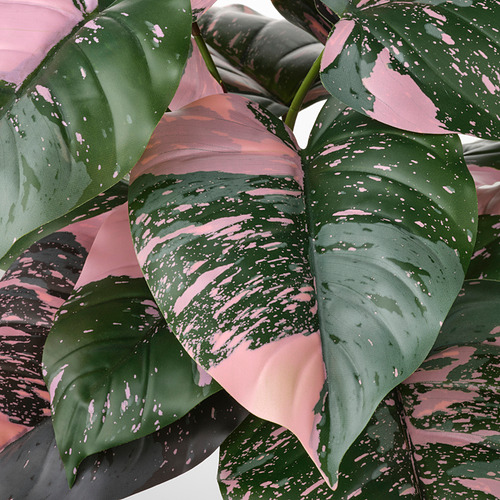 Hojas artificiales grandes y vibrantes en tonos verdes y rosados, detalladas con manchas blancas, lo que sugiere una apariencia realista y de alta calidad.