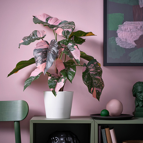 Una planta artificial en maceta llamada FEJKA con hojas rosas y verdes en un estante verde, entre una pequeña esfera negra y una pintura abstracta más grande.