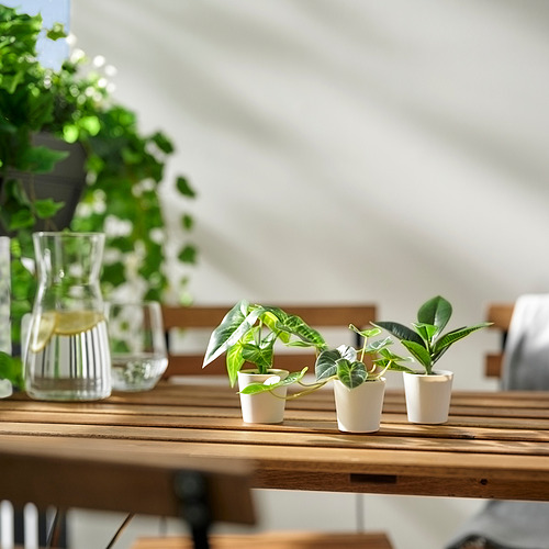 FEJKA, artificial potted plant, set of 3. 3 of 4 open dialog