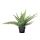 Select colour variation: Fern