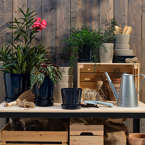 Estante de madera con macetas azules, plantas verdes, flores rosas, regadera, platos y herramientas.