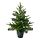Select colour variation: indoor/outdoor/christmas tree green