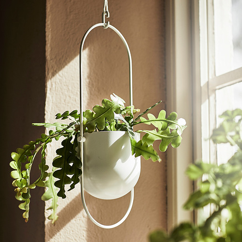 La maceta colgante blanca, CHILISTRÅN, sostiene la planta verde, suspendida por un anillo de metal.