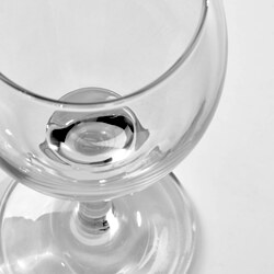 ÄNKEBLOMSTER wine glass