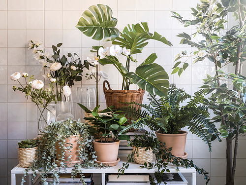 FEJKA, planta artificial en maceta. 5 de 7 abrir diálogo