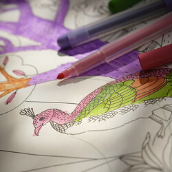 ALPTALL coloring roll