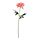 Current variation: indoor/outdoor, Dahlia/pink, 25 ½ "