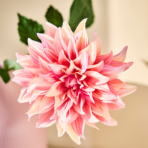 SMYCKA, artificial flower. 5 of 5 open dialog