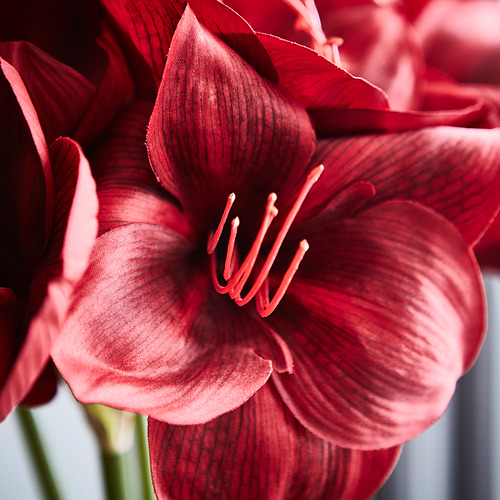 VINTERFINT artificial flower