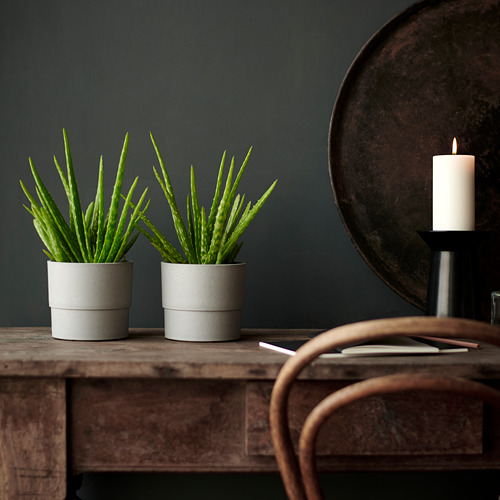Dos plantas verdes en macetas grises NYPON sobre mesa de madera, vela encendida, pared oscura.