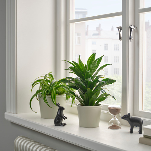 Alféizar de la ventana con plantas y temporizador.