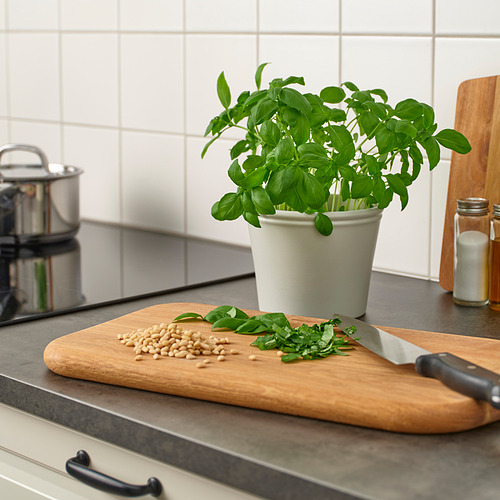 Tabla de cortar de madera con cuchillo y comida picada junto a una planta verde en maceta en la encimera de la cocina.