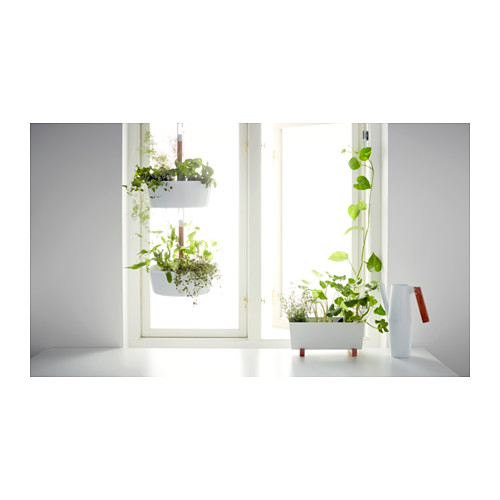 Moderno soporte de plantas blancas con macetas colgantes y de suelo, vegetación, cerca de la ventana.