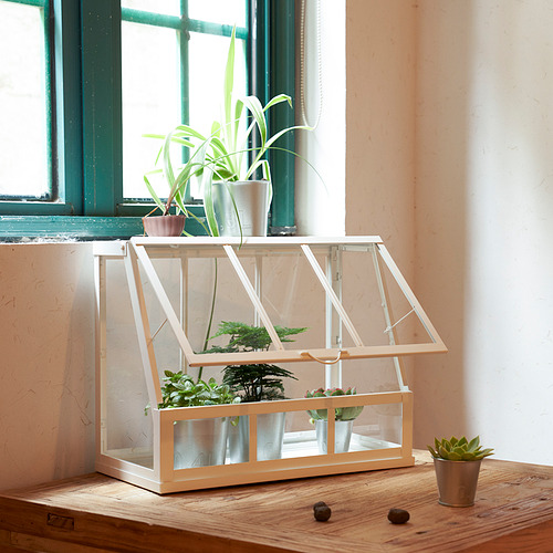 Pequeño invernadero en el alféizar de una ventana con varias plantas en macetas en el interior y una en el exterior, con un frente que se puede abrir para facilitar el acceso y el cuidado.