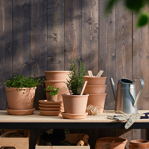 Estante de madera con macetas de terracota con hierbas; Las macetas más grandes sostienen otras más pequeñas, una regadera y guantes de jardinería, contra una pared de madera.