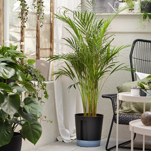 VÅRDTRÄD, self-watering plant pot. 4 of 9 open dialog