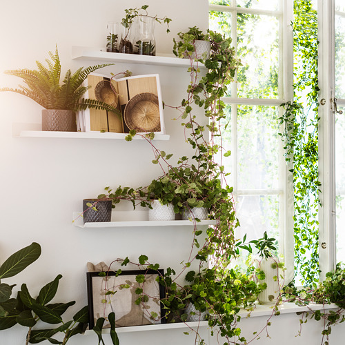 Estanterías de pared blancas con plantas y decoración, la luz del sol entra por la ventana.