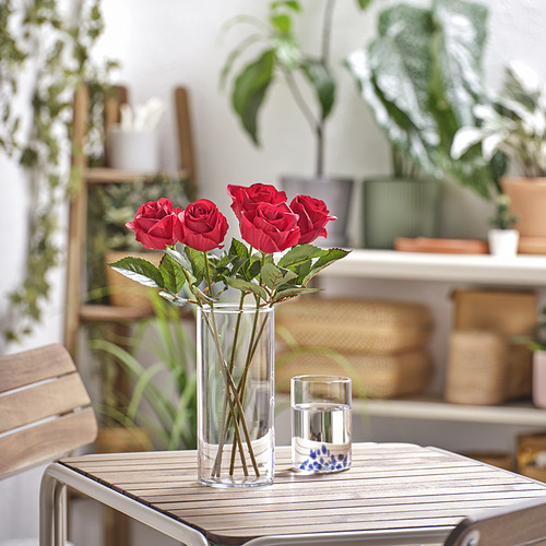 Jarrón con tres rosas rojas, rodeado de vegetación sobre una mesa de madera. Las rosas SMYCKA hechas de plástico reciclado son más grandes que la taza cercana.