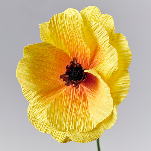 GULDSPETT, flor artificial. 5 de 5 abrir diálogo