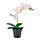 Select colour variation: Orchid white