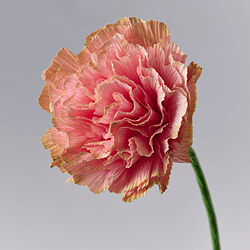 GULDSPETT flor artificial