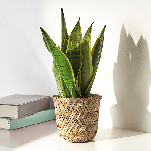 KLYNNON, plant pot. 2 of 5 open dialog