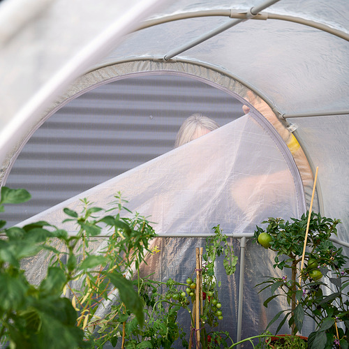 ASPAREN, greenhouse. 4 of 12 open dialog