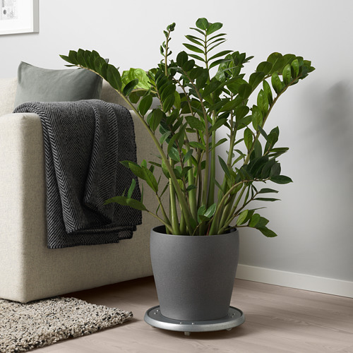 Sala de estar moderna con planta en maceta al lado de la silla.