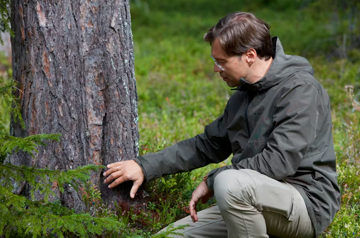 Man in a forest touching a tree, representing responsible forestry and connection with nature.