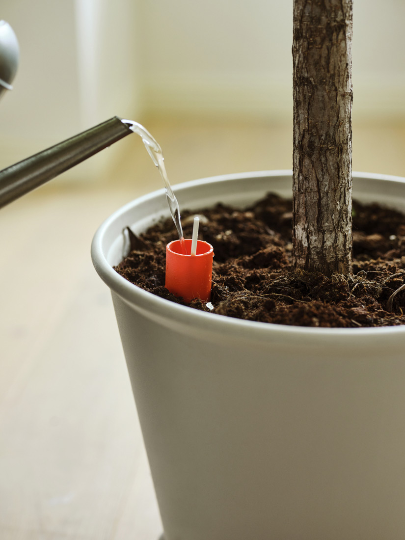 Self watering plant pot