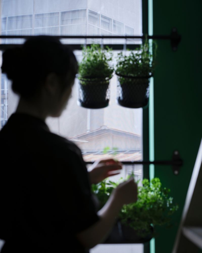 A dark silhouette of a person standing by a window, arranging potted plants hanging from a black HULTARP rail. 