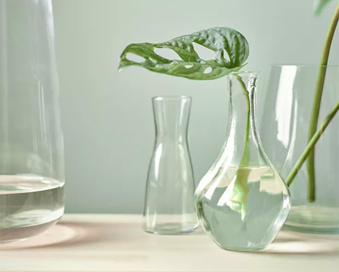 Set of clear glass vases with water and a green leaf on a light surface in a minimalist setting.
