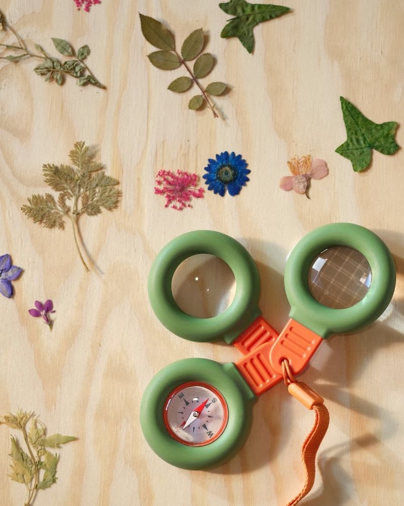 A MAJBAGGE exploration set with a compass, magnifying glass and prism, lying on top of a wood panel with dried flowers.