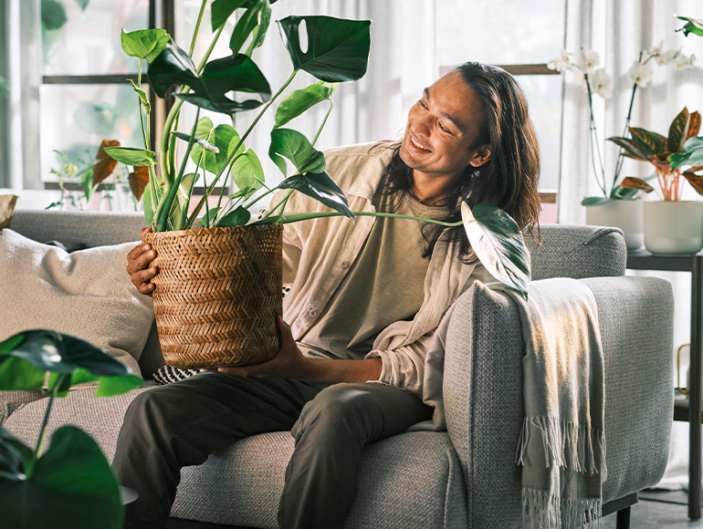 How to take care for your house plants