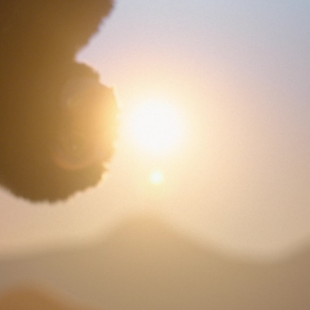 Ver imagen SANDLÖPARE 3 de 9